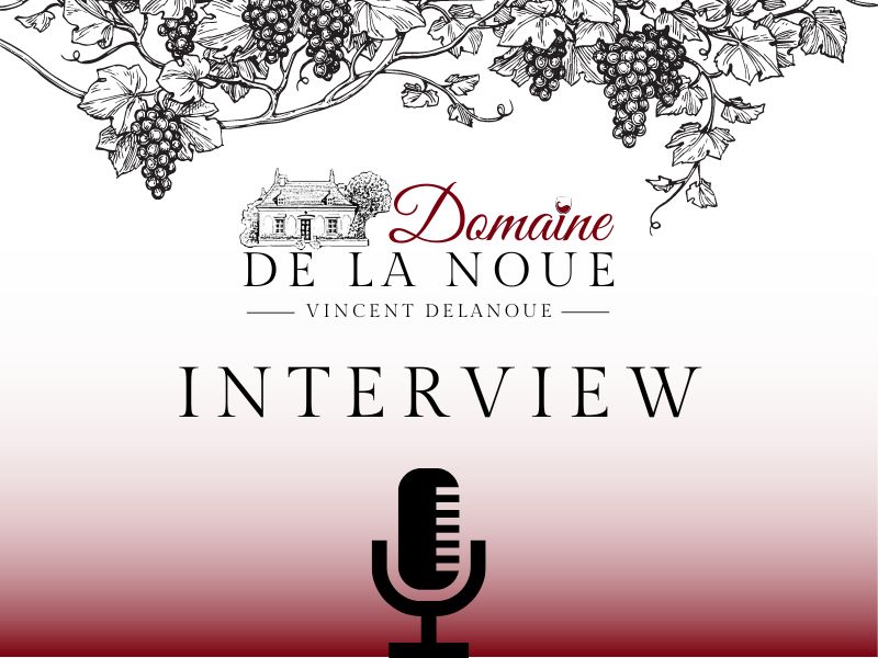 interview delanoue domaine